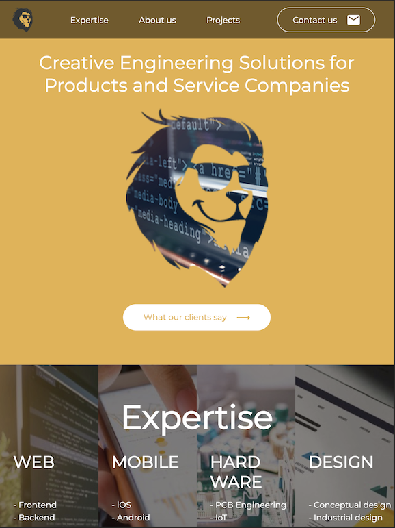 Company Landing Page